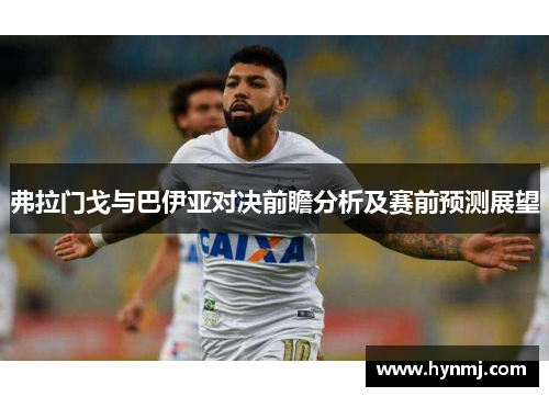 弗拉门戈与巴伊亚对决前瞻分析及赛前预测展望